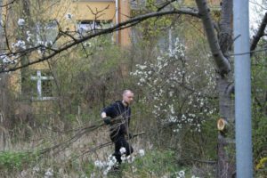 WSG Subbotnik 2016 026