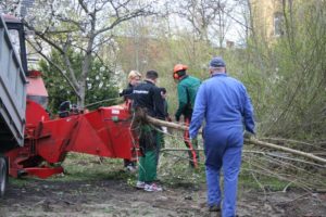 WSG Subbotnik 2016 031