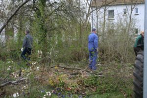 WSG Subbotnik 2016 043